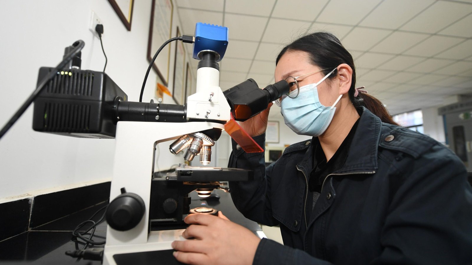 f323536d5b337cf82b38d10aa6e4d2a7